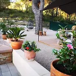 Bed and Breakfast Casa Jetizo