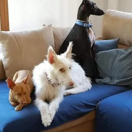 Casa Jetizo Frühstückspension *
