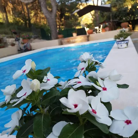 Frühstückspension Casa Jetizo *