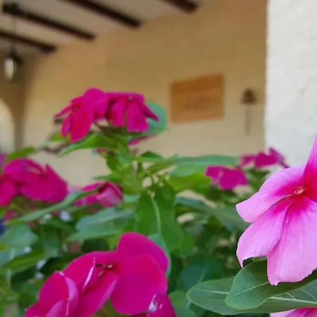Frühstückspension Casa Jetizo Ontinyent