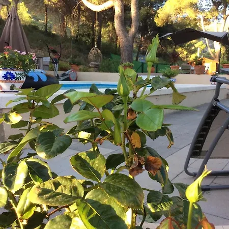Casa Jetizo 온티니엔트
