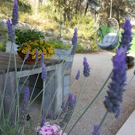 Casa Jetizo Bed and breakfast 4*