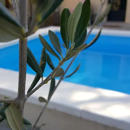 B&B Casa Jetizo 온티니엔트