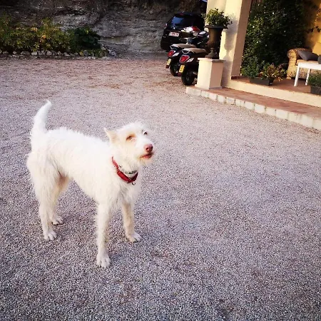 Casa Jetizo Bed & Breakfast