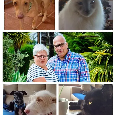 Casa Jetizo Ontinyent