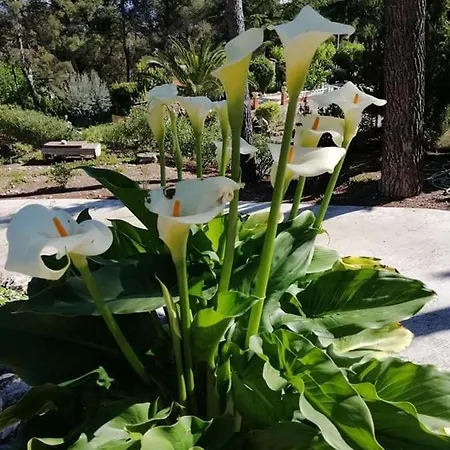 Bed & Breakfast Casa Jetizo Ontinyent