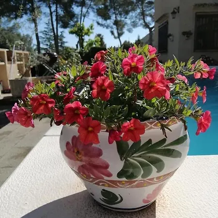 Bed and breakfast Casa Jetizo 4*