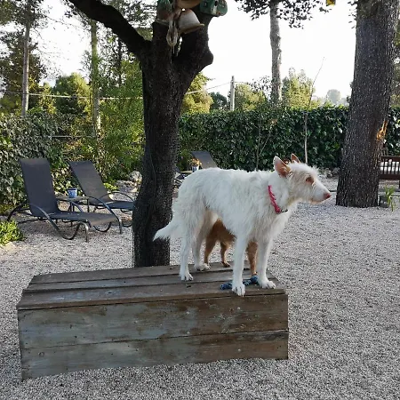 Casa Jetizo Bed & Breakfast Ontinyent