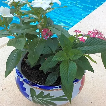Casa Jetizo Bed & Breakfast Ontinyent