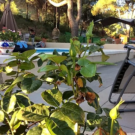 Bed & Breakfast Casa Jetizo Ontinyent