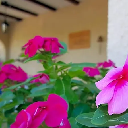 Casa Jetizo 4* Ontinyent