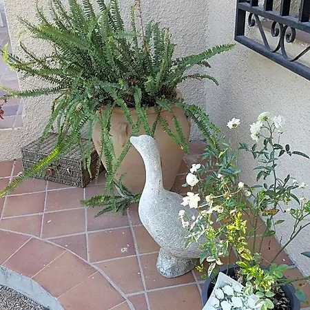Casa Jetizo