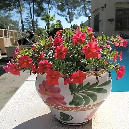 Bed & Breakfast Casa Jetizo Ontinyent