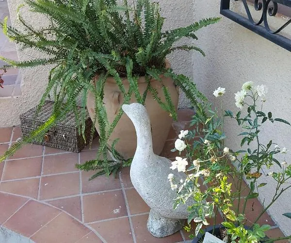 Casa Jetizo أونتينينت