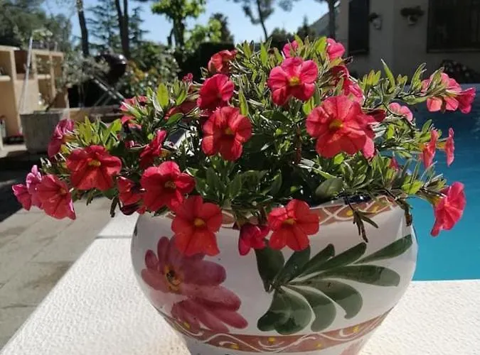 فندق مبيت وإفطار Casa Jetizo 4*